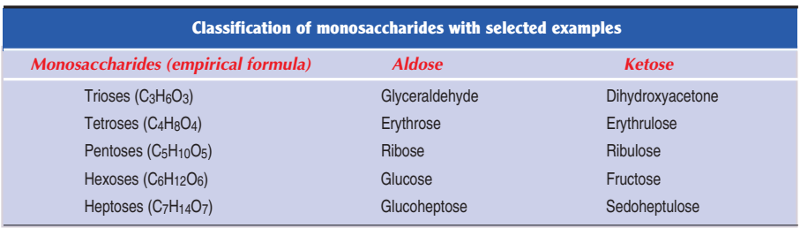 Classification of Carbohydrates